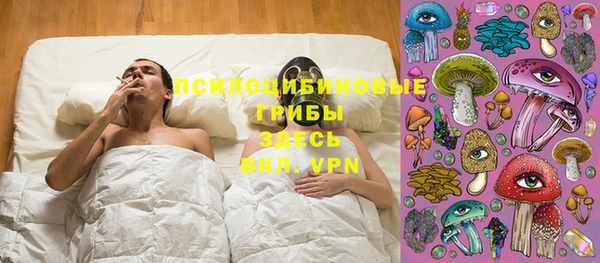 твердый Алексеевка