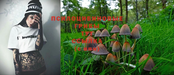 соль ск Абдулино
