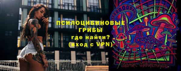 соль ск Абдулино